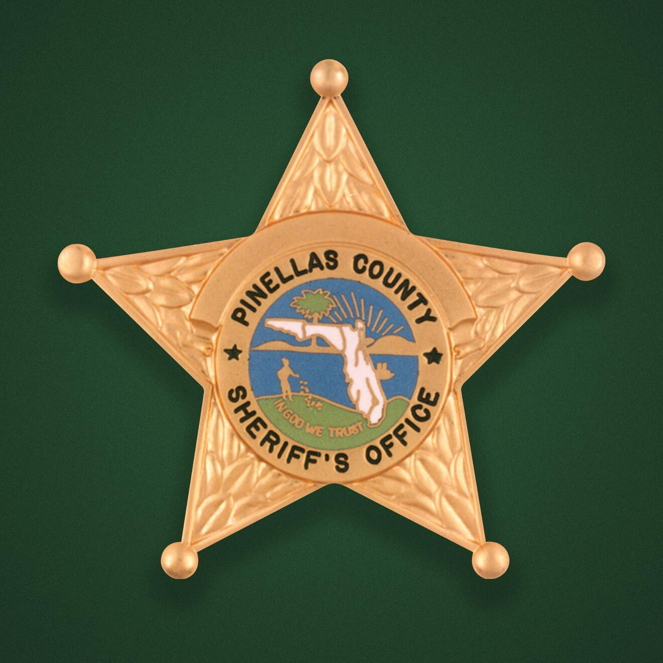 Pinellas County Sheriff's Office - 513 Crime And Safety Updates ...