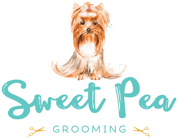 sweet pea dog grooming