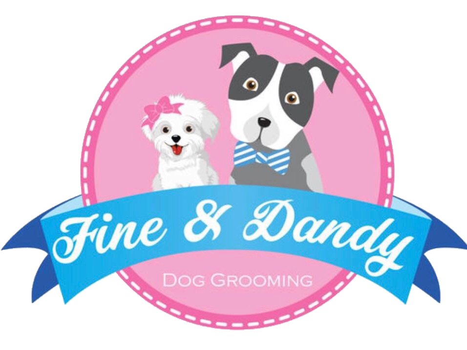 Dandy dogs mobile store grooming