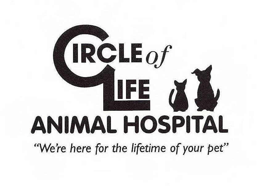 Circle of life animal hospital festus mo nextdoor