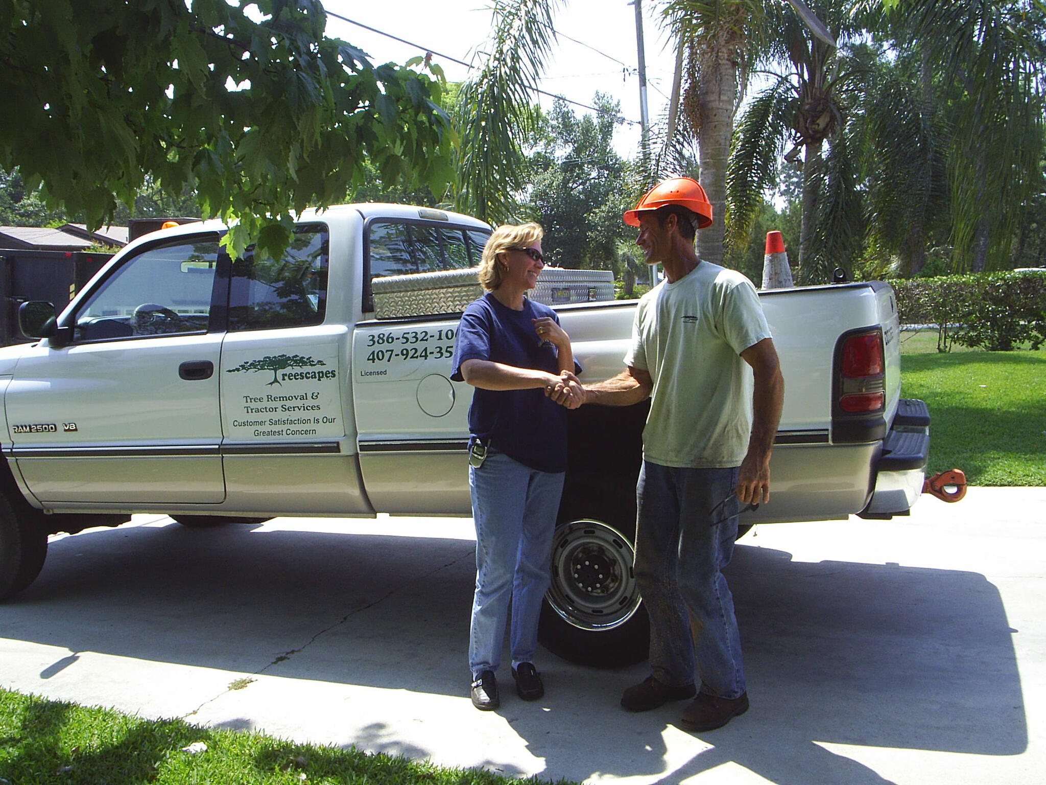 Treescapes Tree Removal Services Deland, FL Nextdoor
