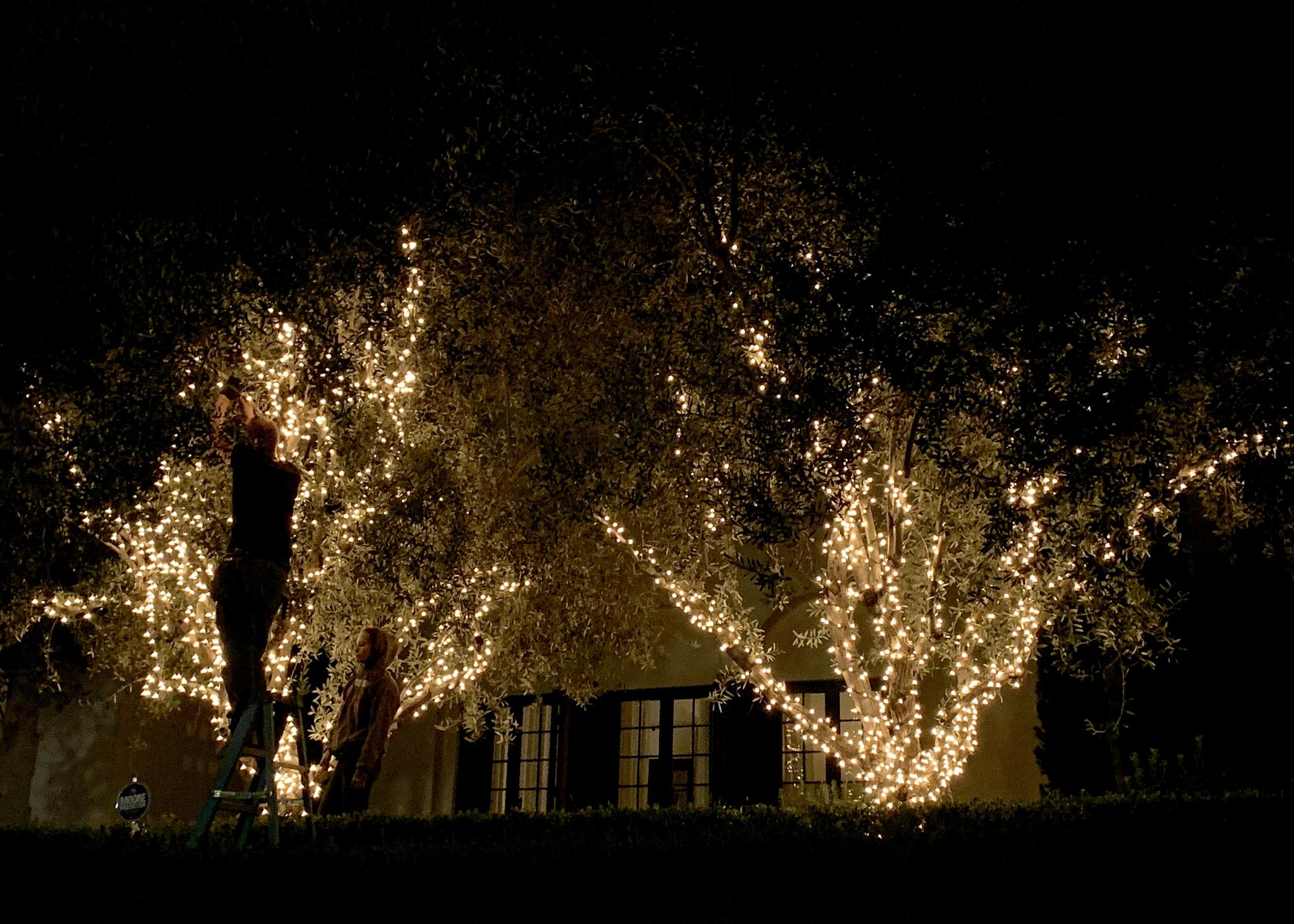 Christmas Light Installation By Darell Lee Santa Clarita, CA Nextdoor