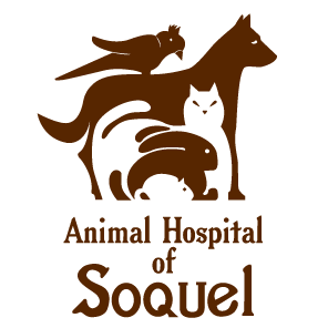 Animal Hospital of Soquel Santa Cruz CA Nextdoor