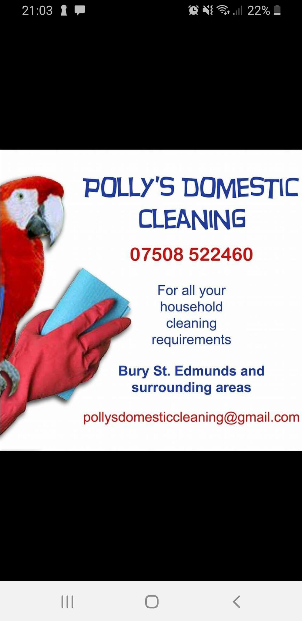 Pollys Domestic Cleaning Bury Saint Edmunds, England Nextdoor
