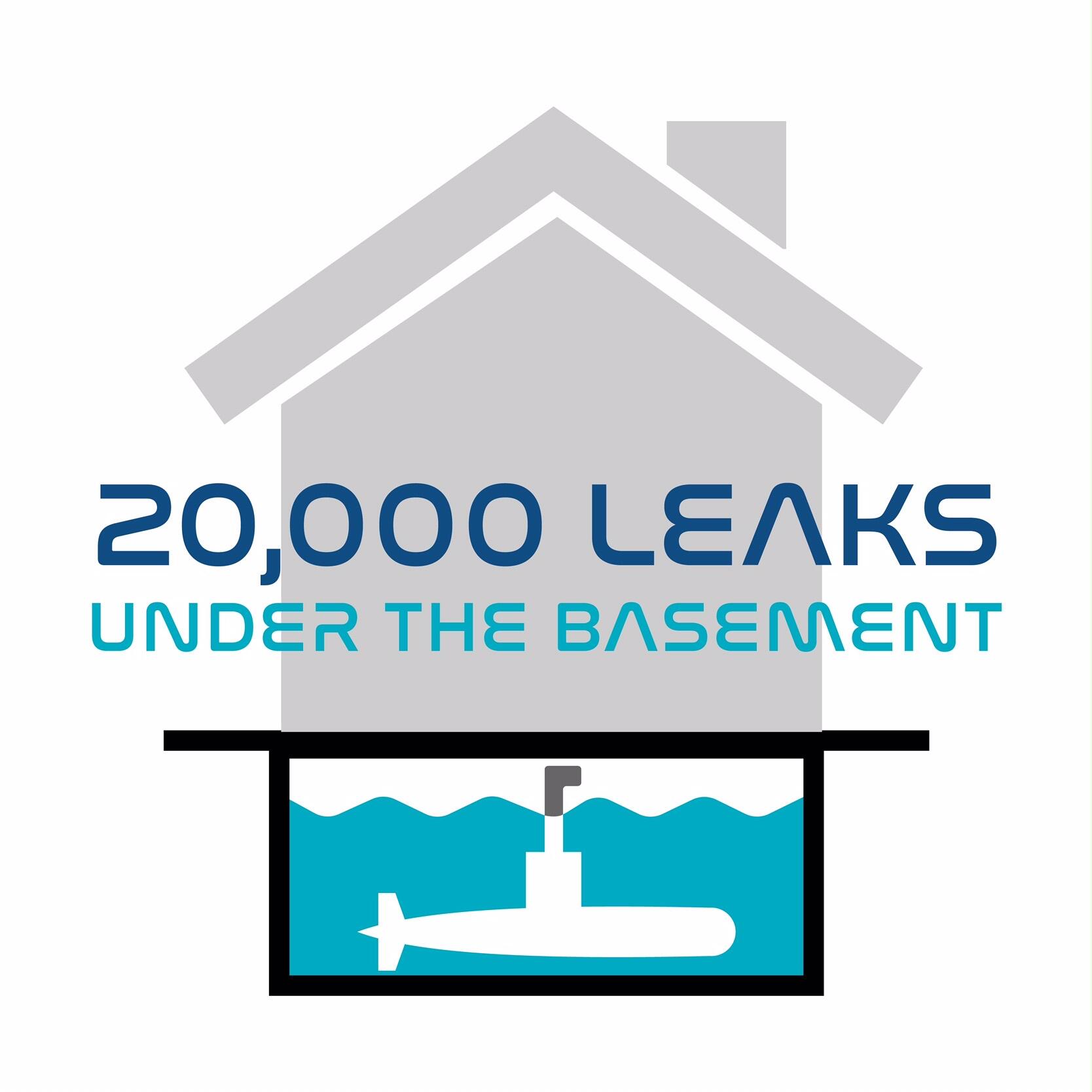 20000 Leaks Under the Basement - 6 Recommendations ...