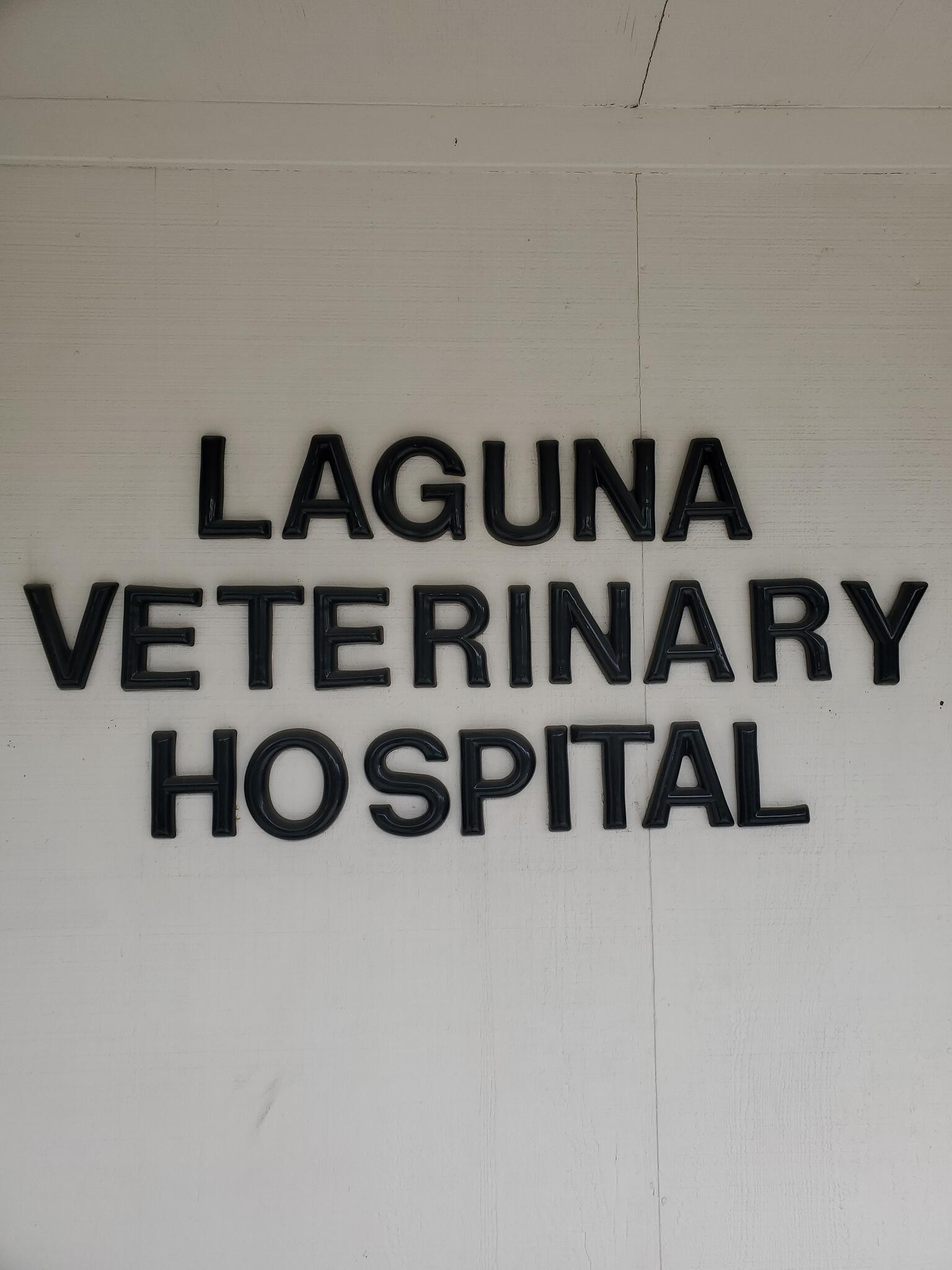 Laguna best sale veterinary clinic