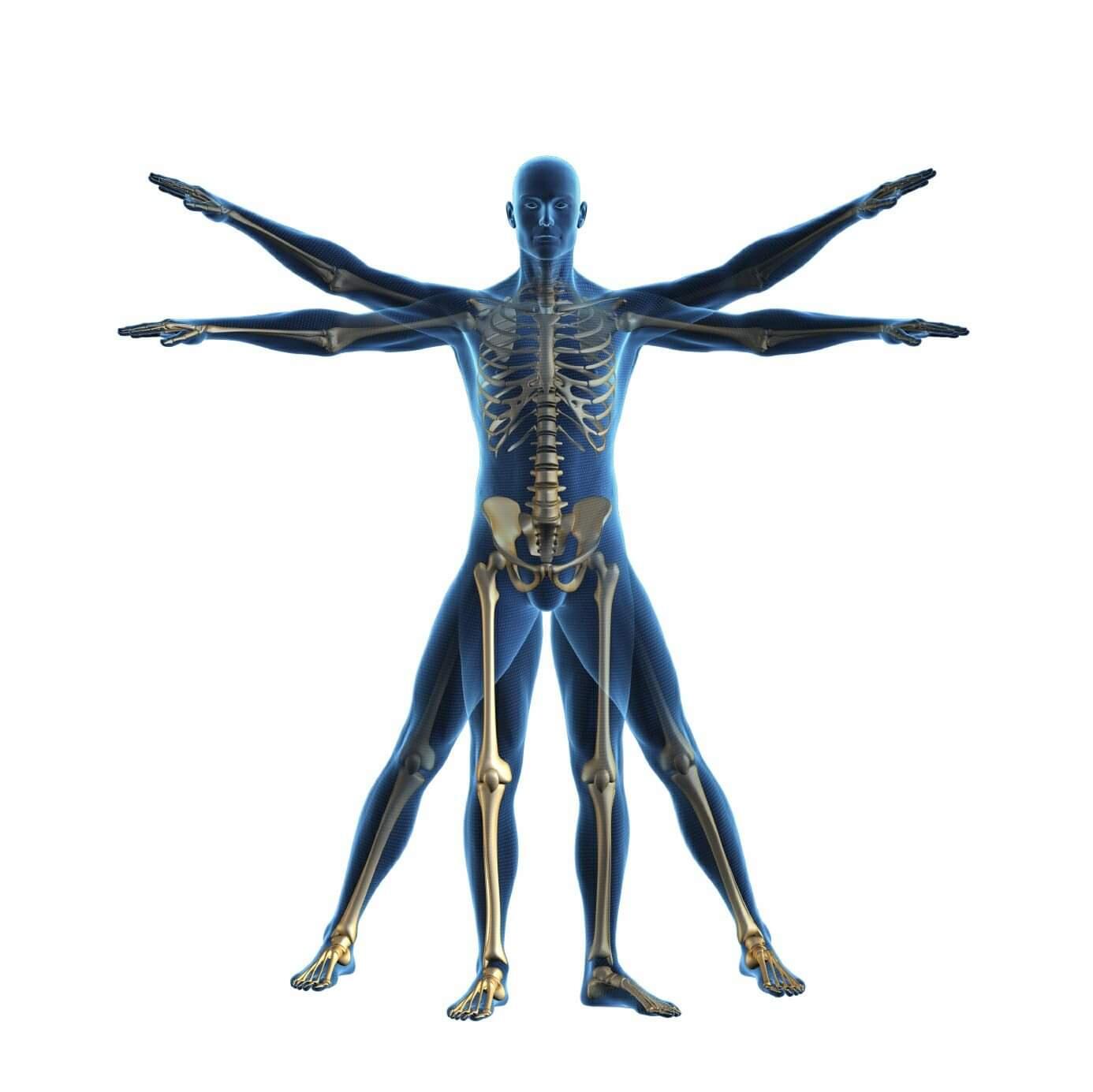 Physiotherapy Sheffield & Sports Injuries Clinic Sheffield Nextdoor
