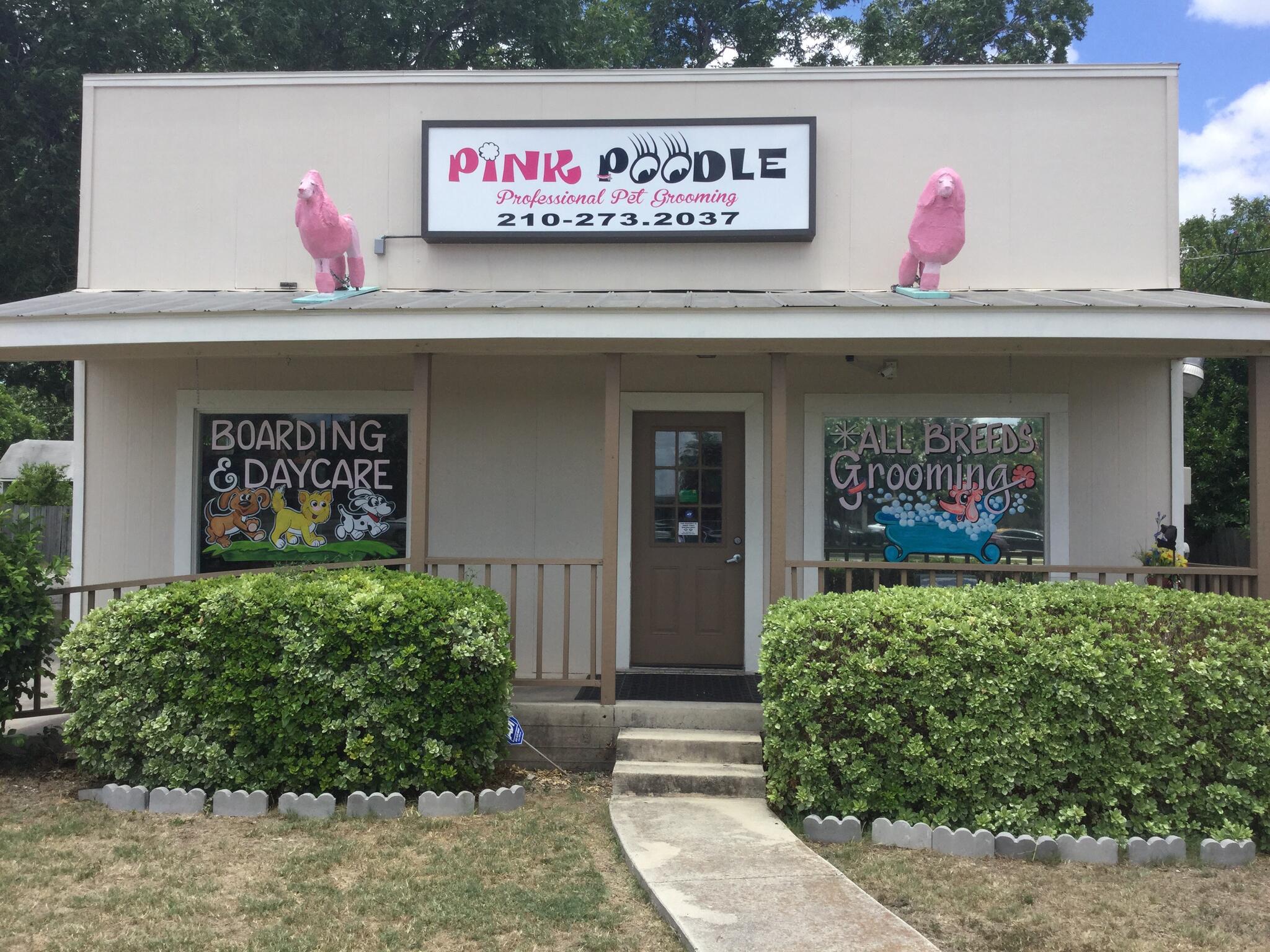 Pink Poodle - Nextdoor