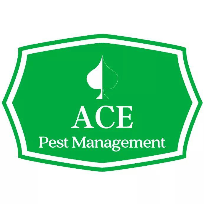 Ace Pest Management - Nextdoor