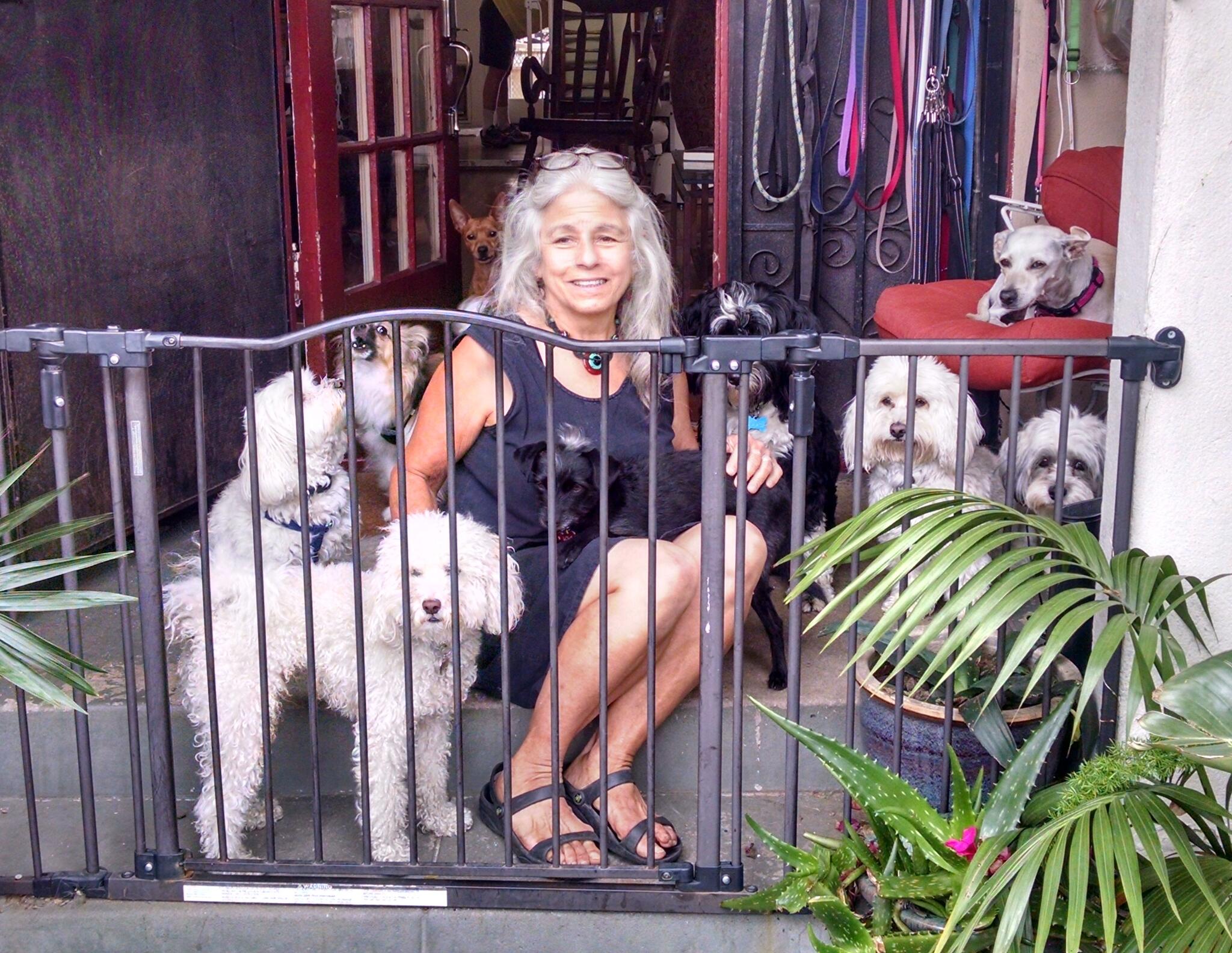 Venice Dog Boarding Venice, CA Nextdoor