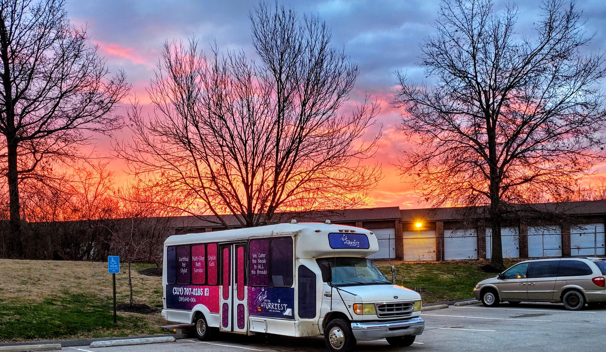 Fast and Furriest Mobile Dog Grooming
