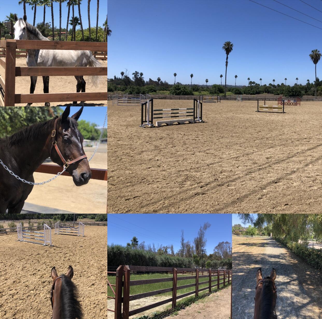 Royal Horses Stables - Rancho Santa Fe, CA - Nextdoor