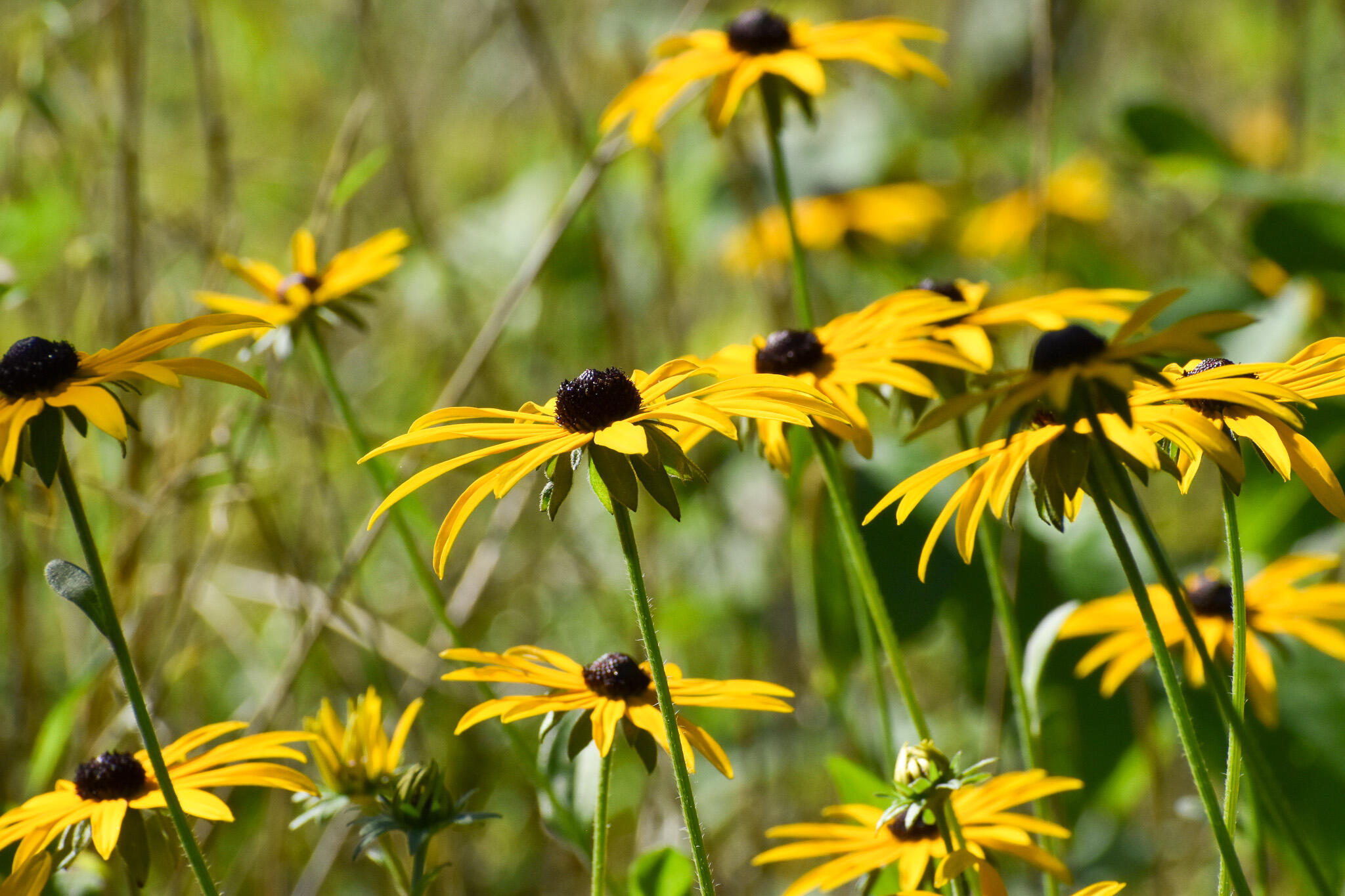 Scio Township 104 updates — Nextdoor — Nextdoor