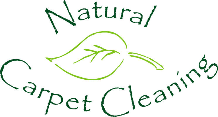Natural Carpet Cleaning Mason Mi Nextdoor