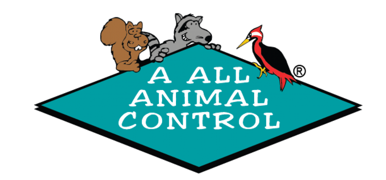 A All Animal Control of San Antonio (AAAC Wildlife Removal)