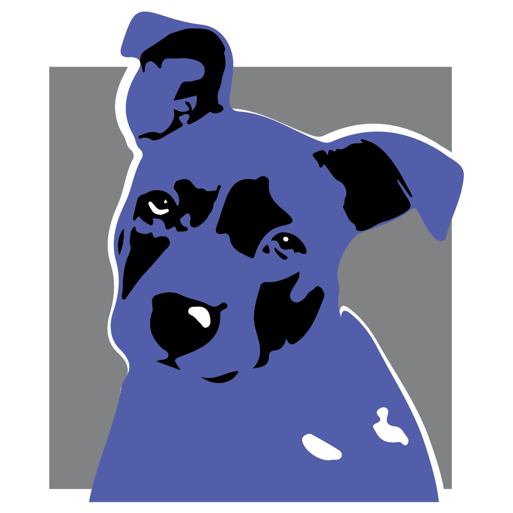 acton-animal-hospital-acton-ma-nextdoor