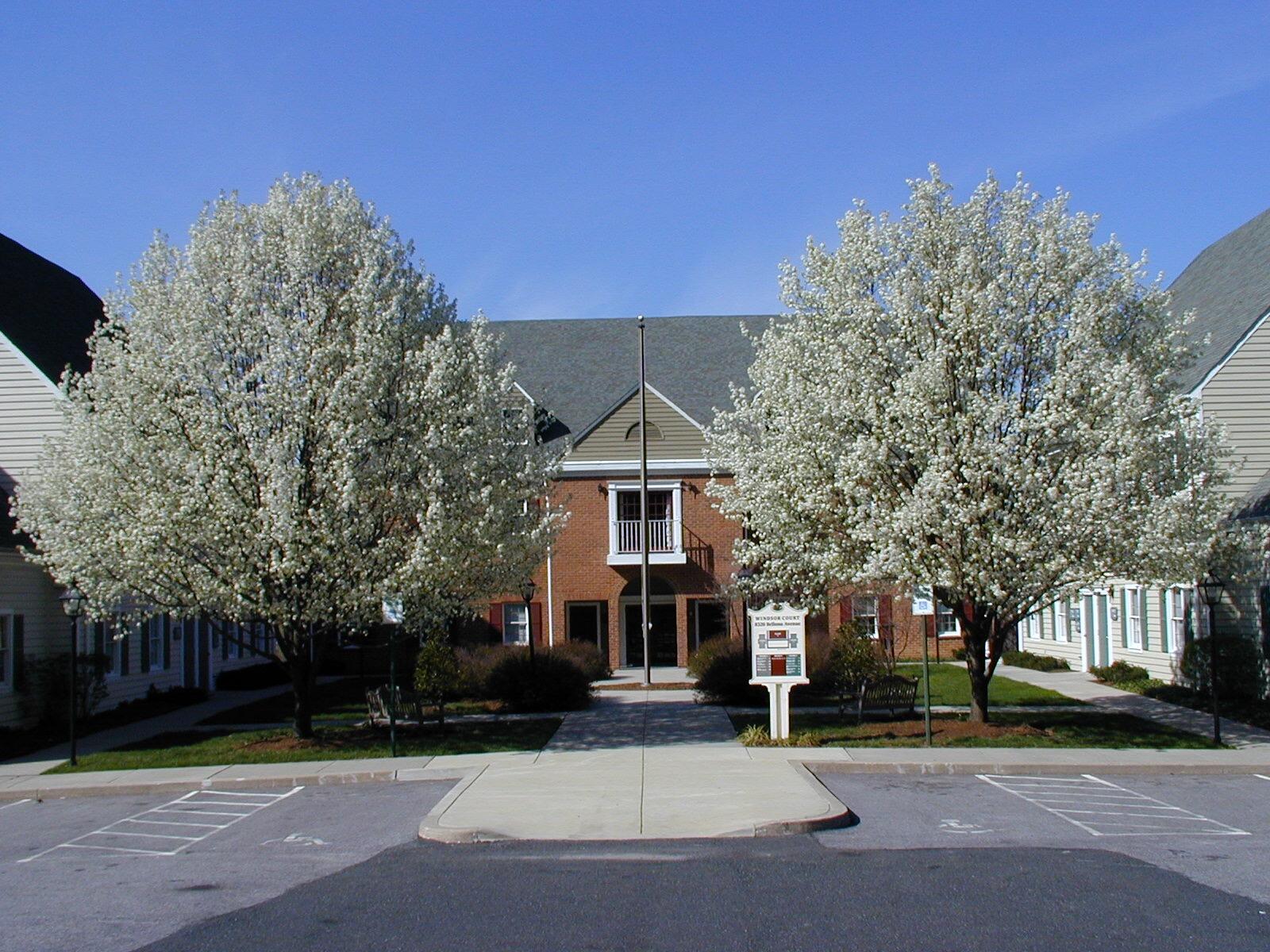 Dr. Thomas Ritter D.D.S. Retired in 2021 - Towson, MD - Nextdoor