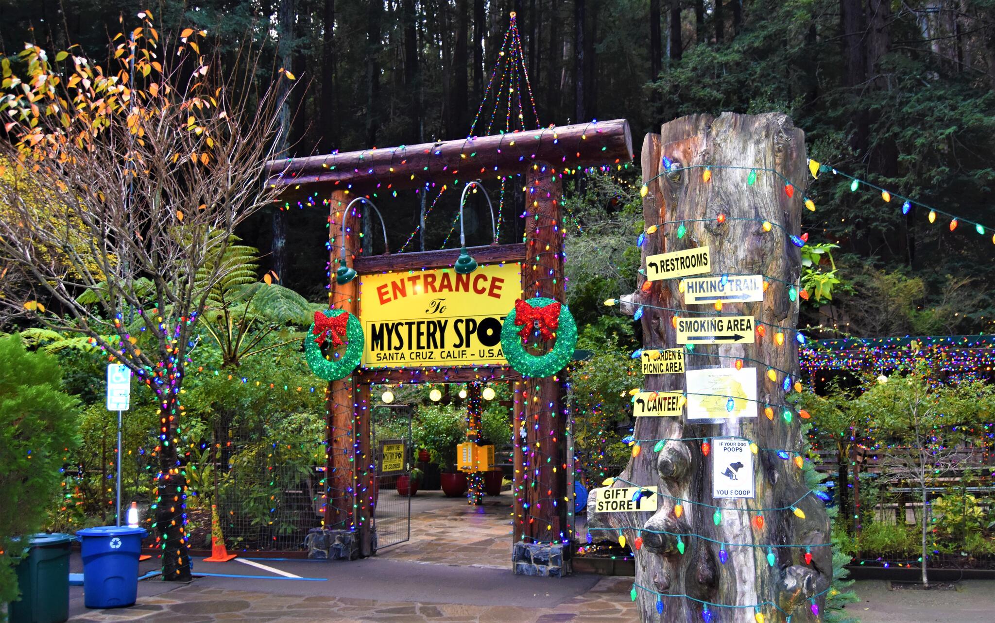 The Mystery Spot Santa Cruz CA Nextdoor