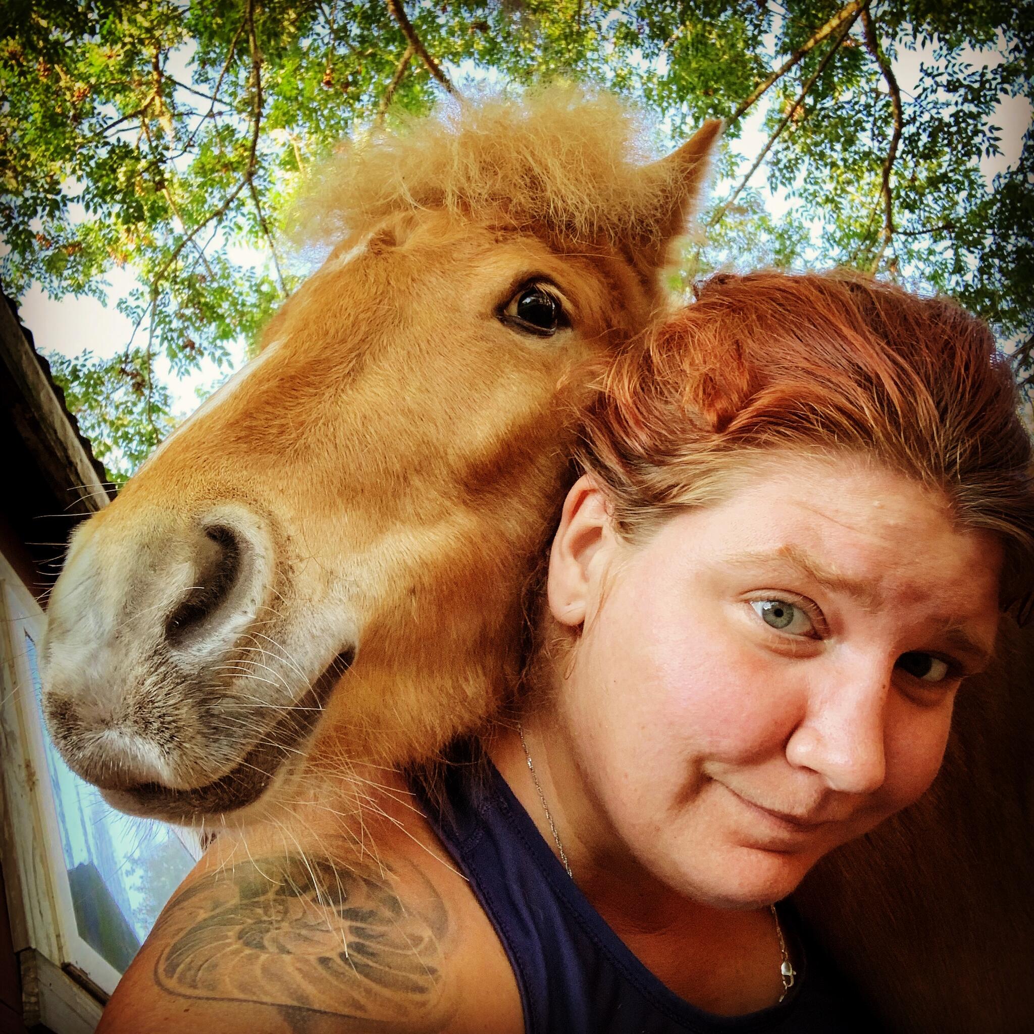 Whitney Coolidge Whole Horse Hoof Care Nextdoor