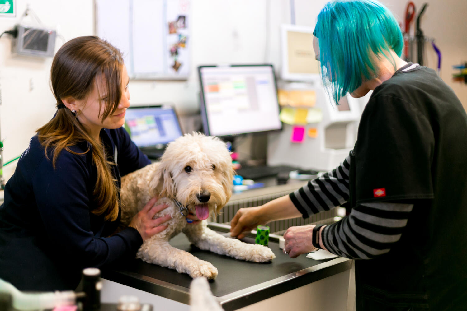 Manor Hill/Meadow Ridge, Norman Everything You Need to Know