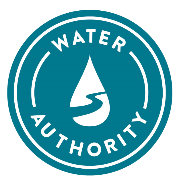 Water Line Leak Near Martin Luther King Jr. Avenue and Commercial