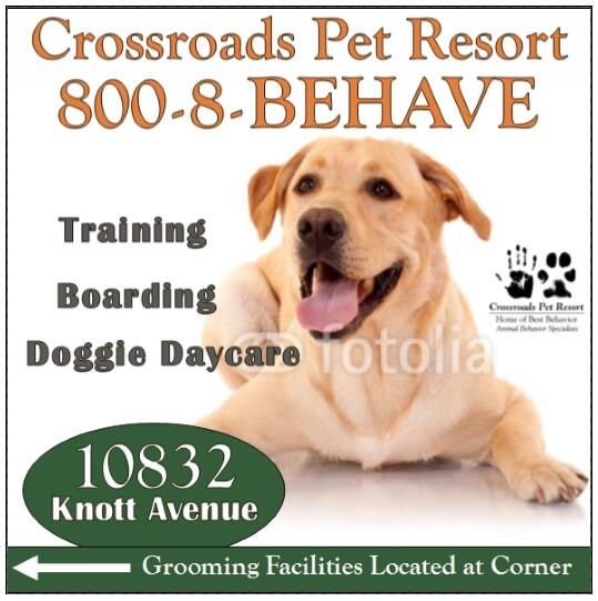 Crossroads store dog daycare