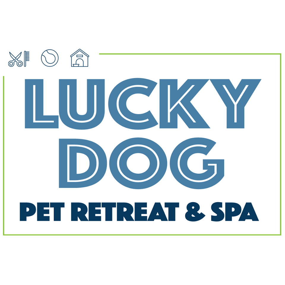 Lucky dog pet retreat & sale spa