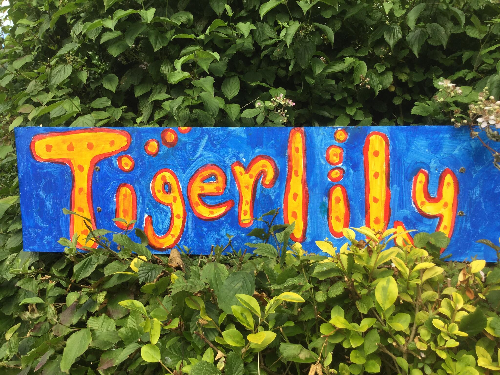 Tiger Lily Studio Dorking Nextdoor