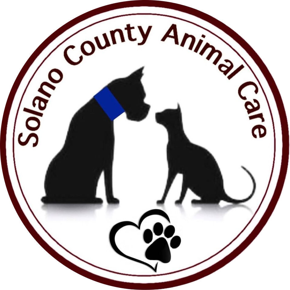 Solano County Animal Control Clearance Animal Welfare Groups Near Me New  Arrivals Home Animal