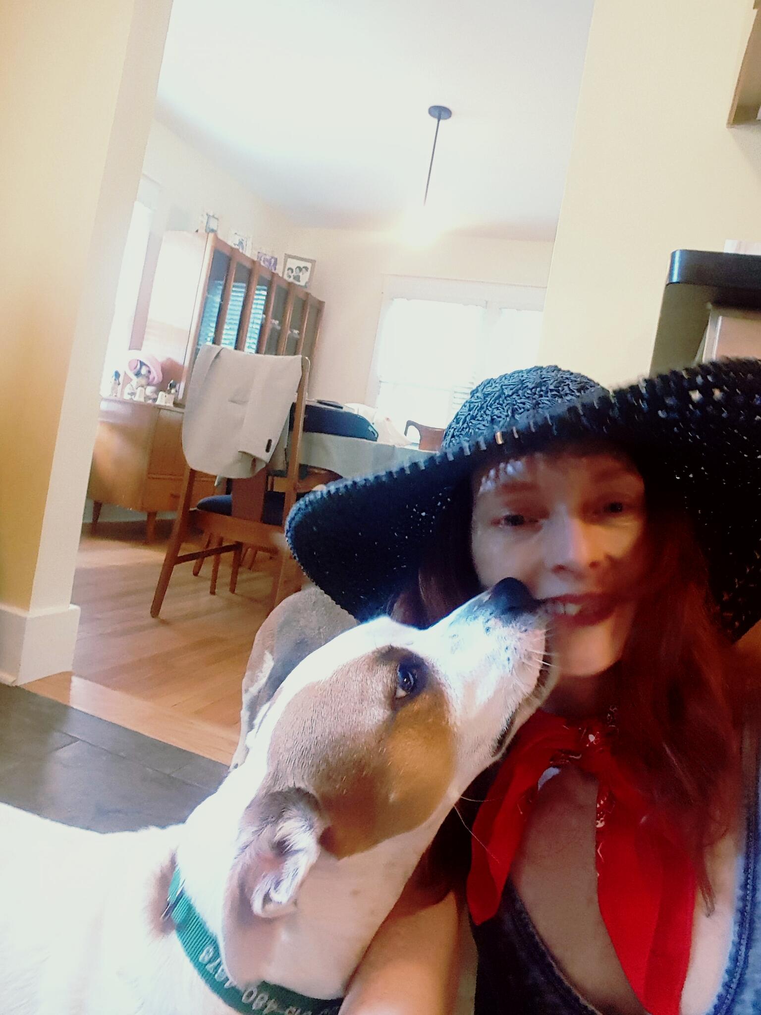 Stephanie Capps Pet Sitter Nashville, TN Nextdoor