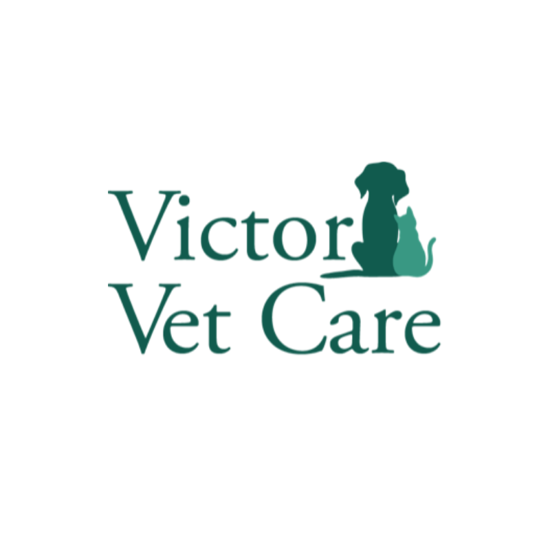 Victor Vet Care Victor, NY Nextdoor