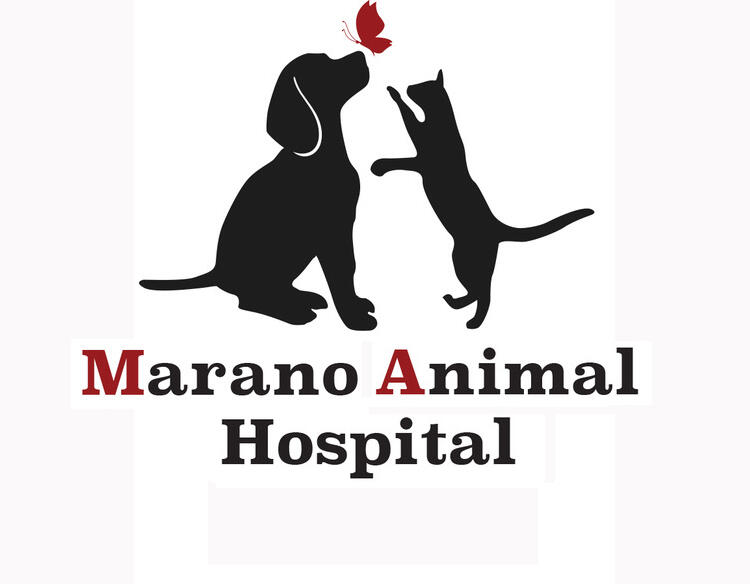 Marano Animal Hospital - Venice, FL - Nextdoor