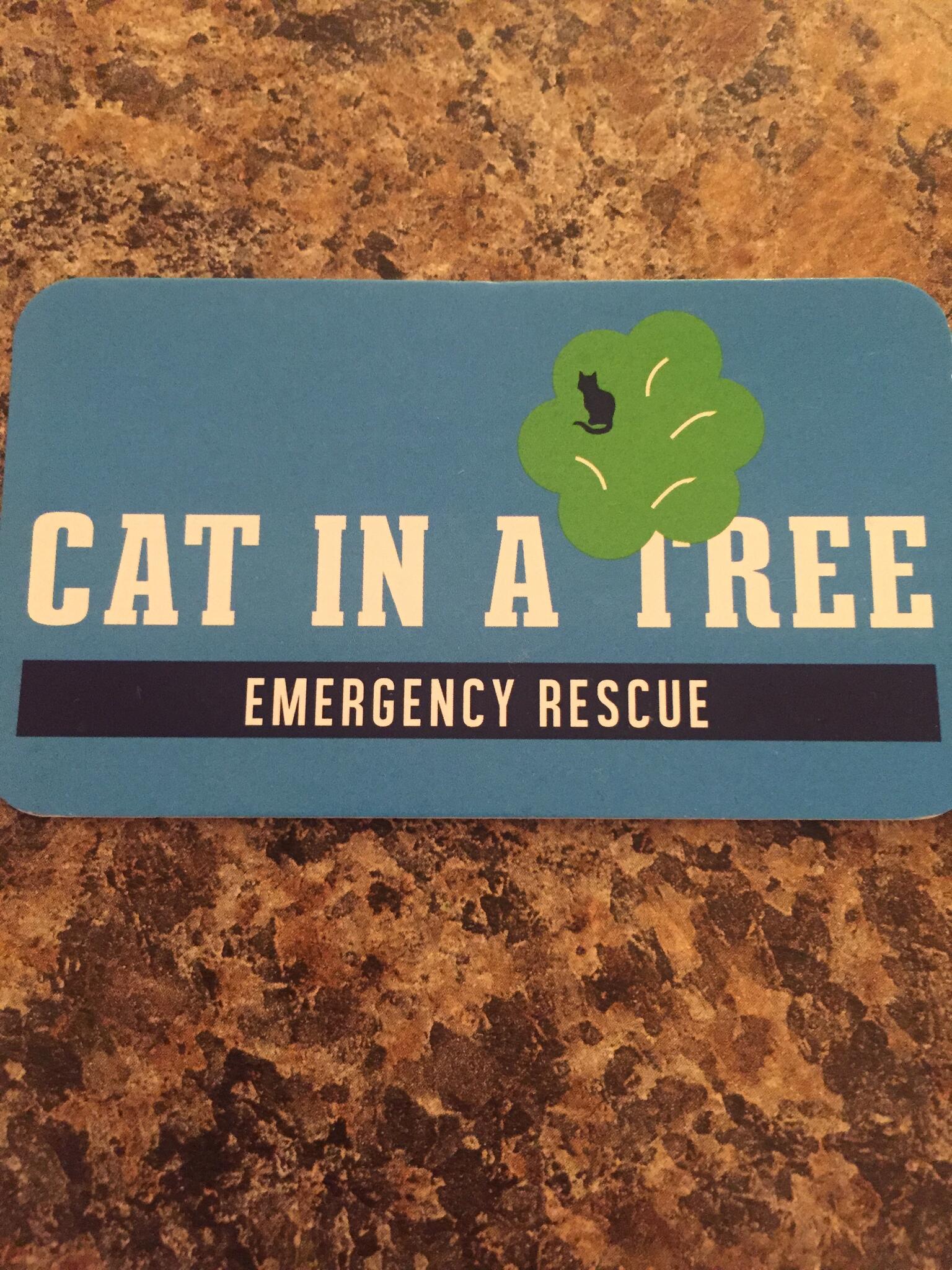 Cat in a tree best sale emergency rescue