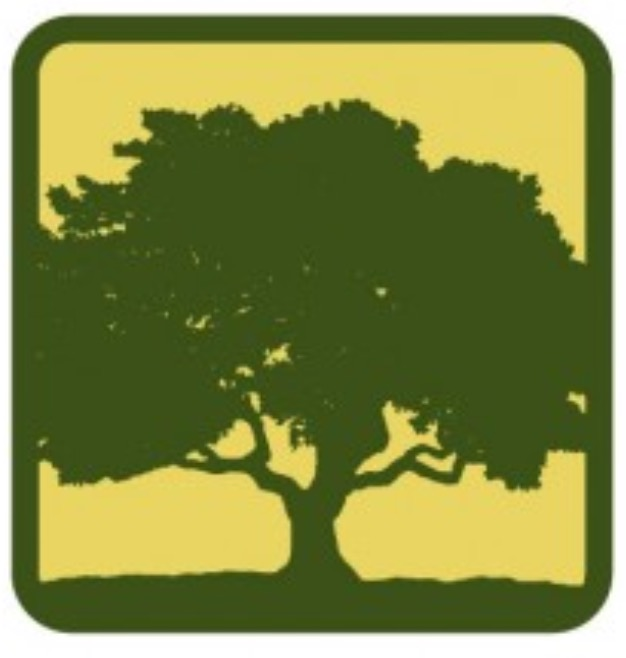 Certified Arbor Care Inc Austin Tx Nextdoor