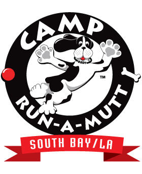 camp run a mutt south bay mutt cam