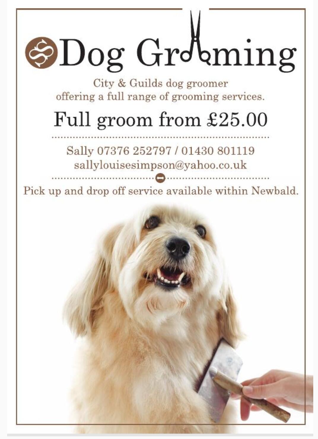 Ss Dog Grooming York Nextdoor