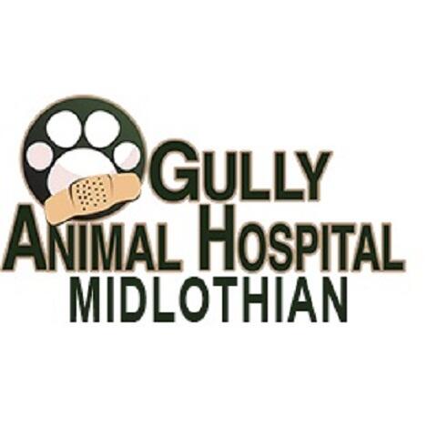 Gully animal hospital near 2024 me