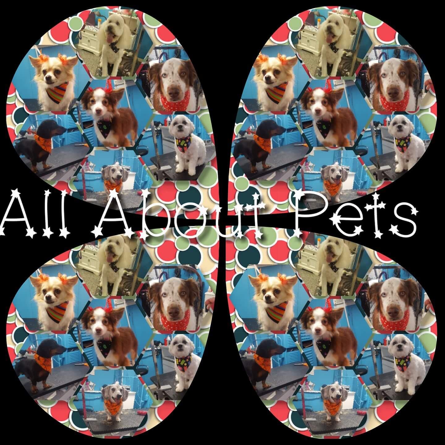 All About Pets Animal Resort Louisville, KY Nextdoor