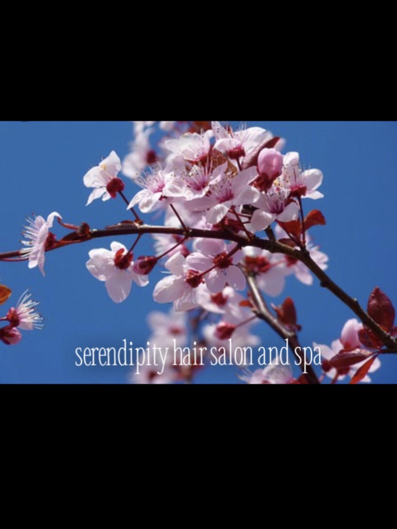 Serendipity Salon and Spa inc. - 31 Connections - Winters, CA