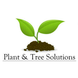 Plant And Tree Solutions - Nextdoor
