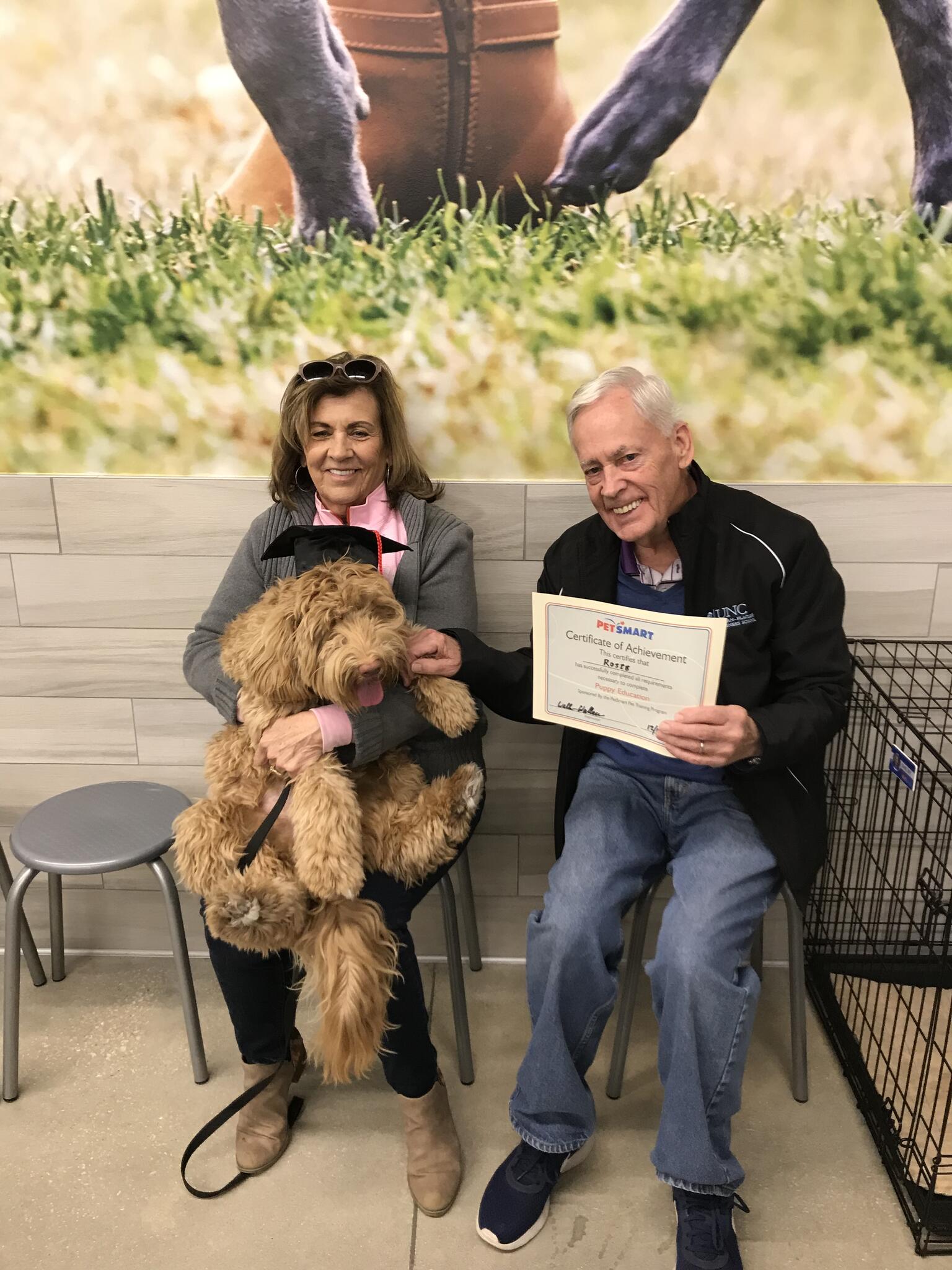 Shelby’s Pet Sitting Ponte Vedra Beach, FL Nextdoor