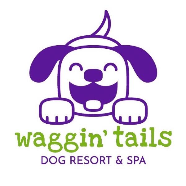 Waggin 2024 tails brighton