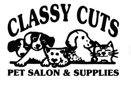 Classy cuts hot sale dog grooming