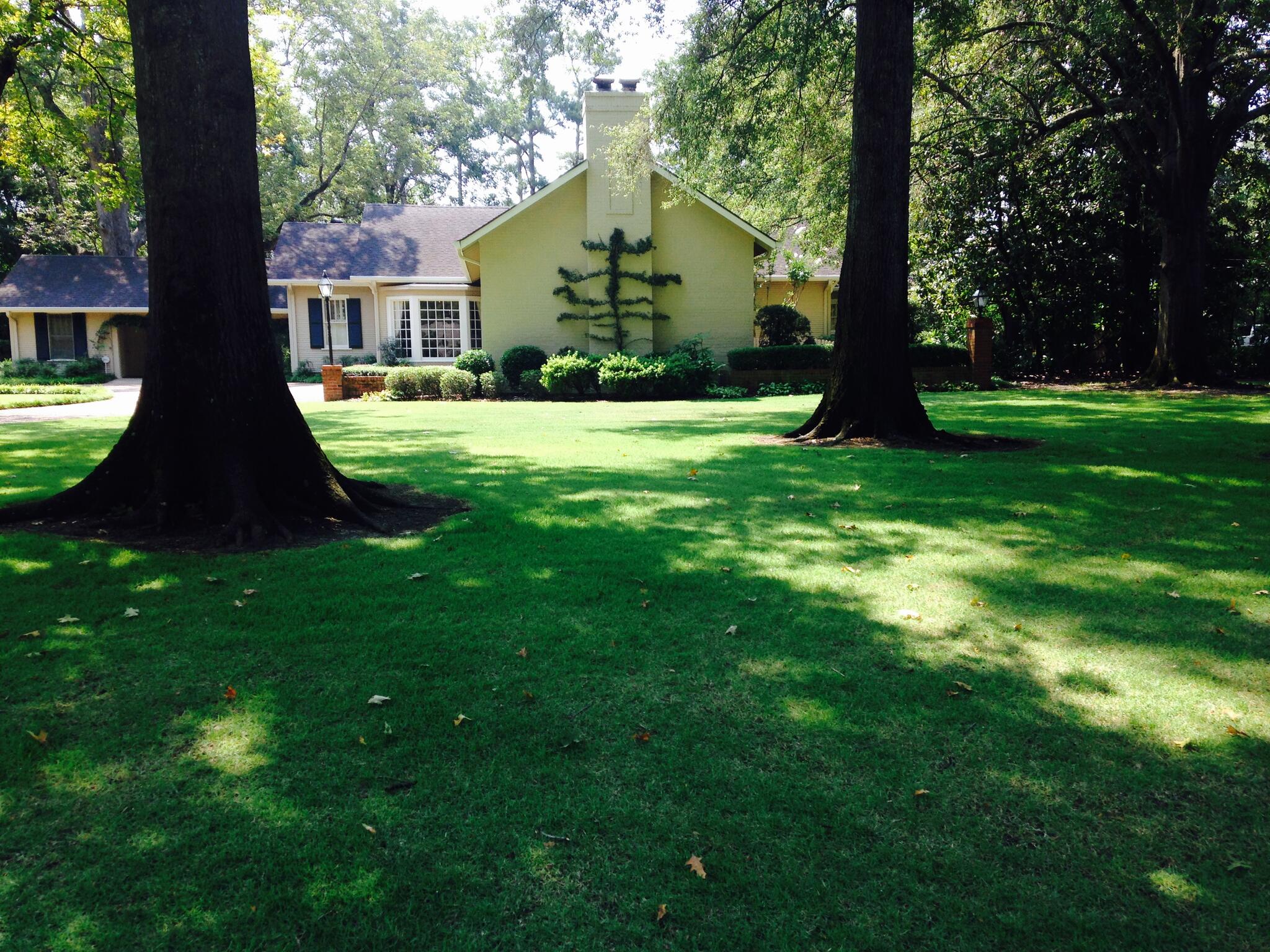 Deltascapes Cleveland, MS Nextdoor