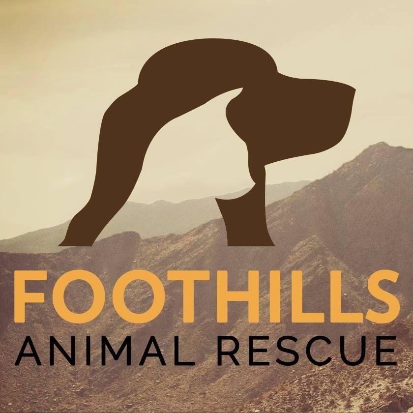 Foothills Animal Rescue - Scottsdale, AZ - Nextdoor