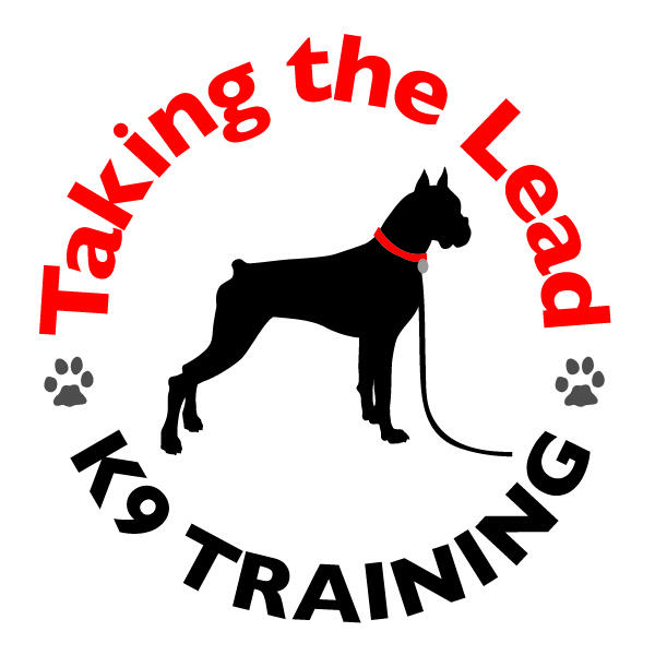 taking the lead k9 training