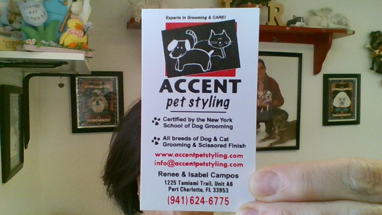 Accent Pet Styling