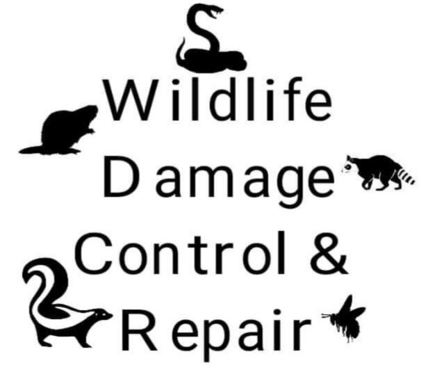 Wildlife Damage Control and Repair - Nextdoor