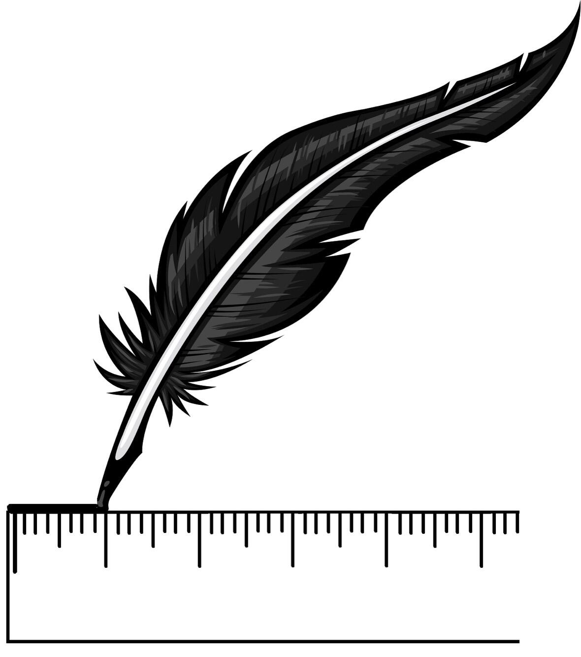 Black Quill Construction Llc Plaster And Drywall Repair Denver, CO