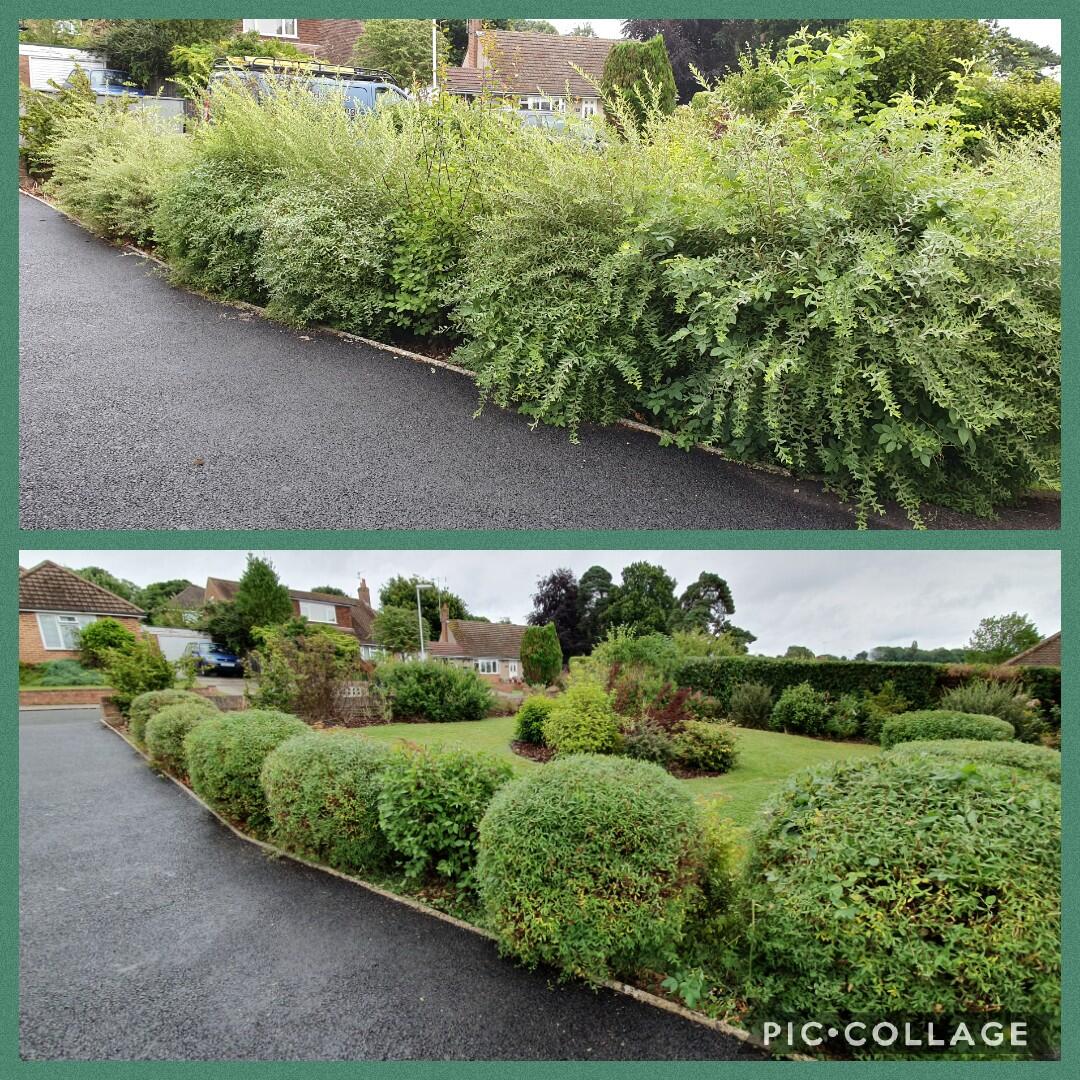 Handy Bees Gardening Haywards Heath, England Nextdoor